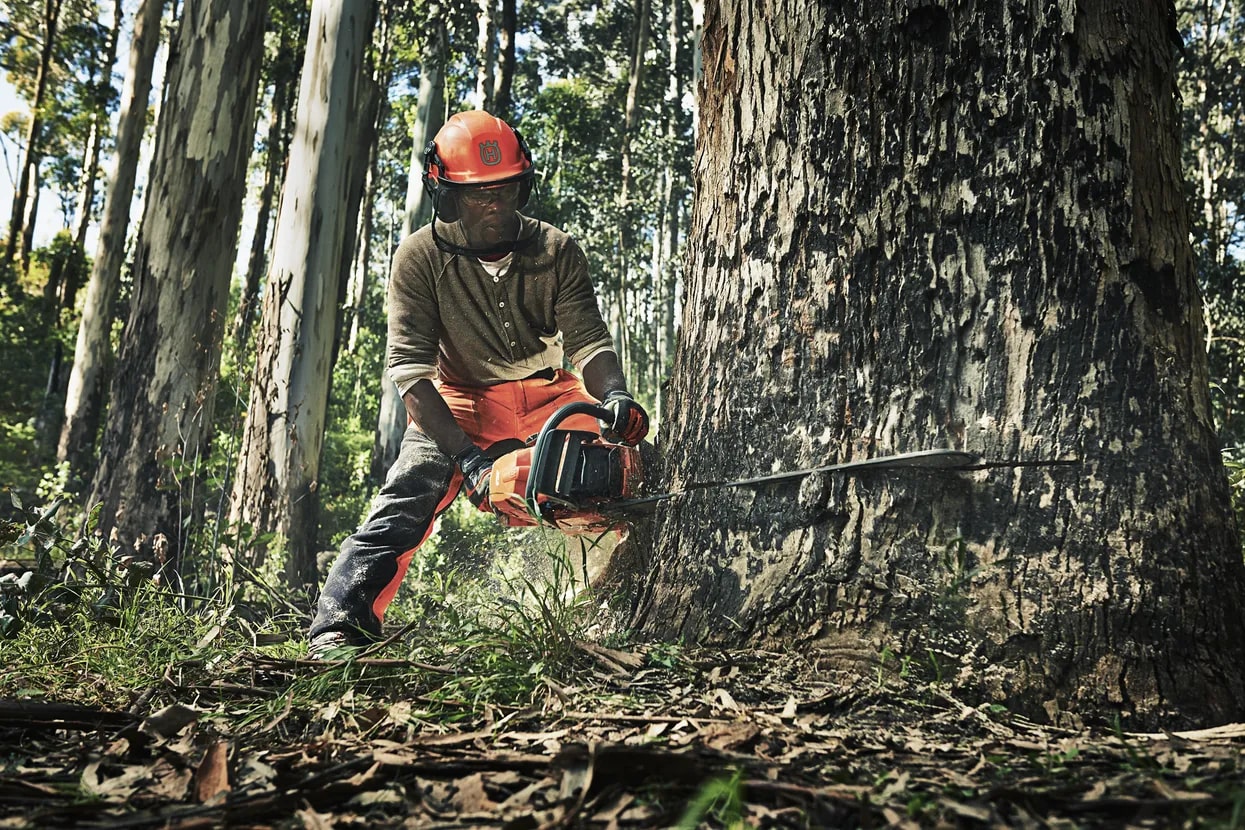 d487a012-87f0-43bf-4c73-08ddc46356a1