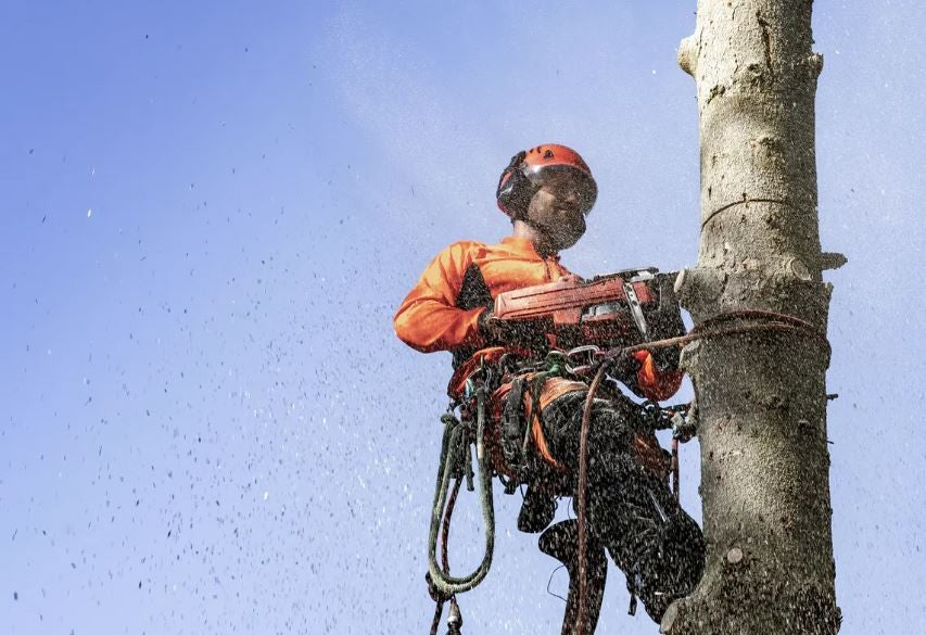 17873a8d-6a05-443a-dc18-08db58b4557f