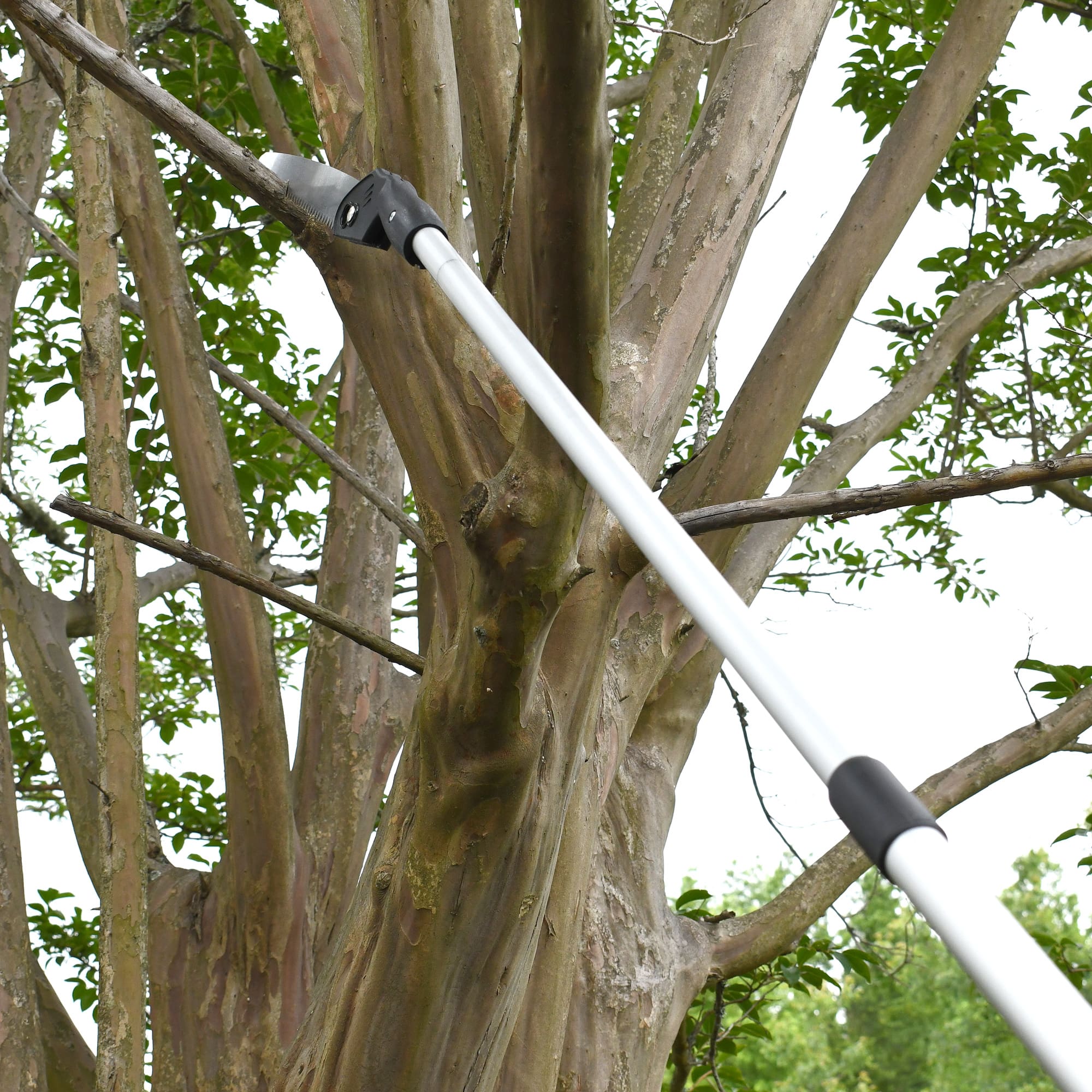 Jameson Barracuda Telescoping Pole Saw