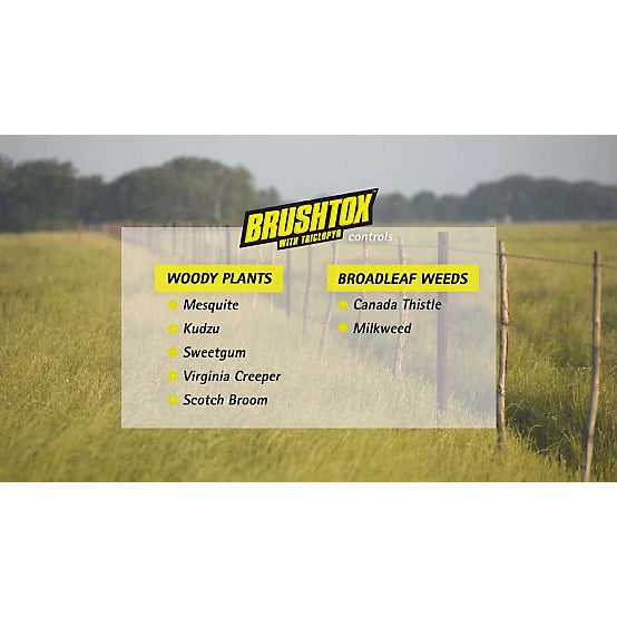 Brushtox 32 oz. Brush Killer with Triclopyr, Concentrate