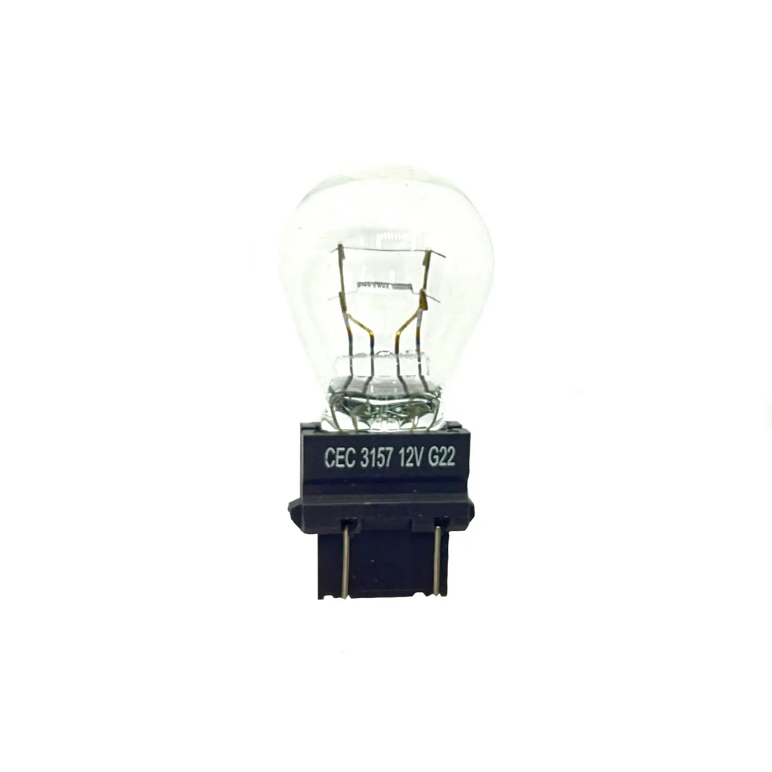 4010764 TAILLIGHT BULB