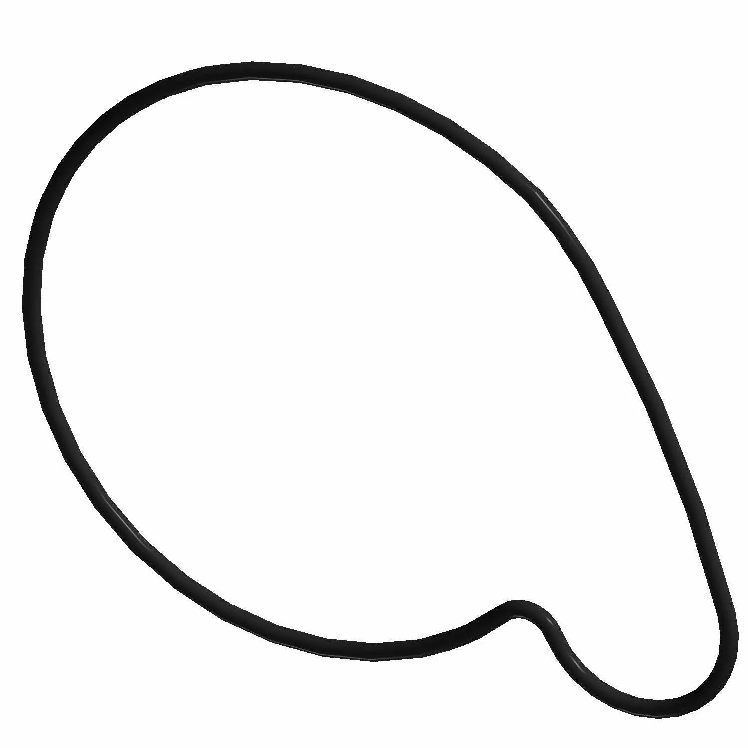 POLARIS OEM PN# 5413811 WATERPUMP COVER GASKET