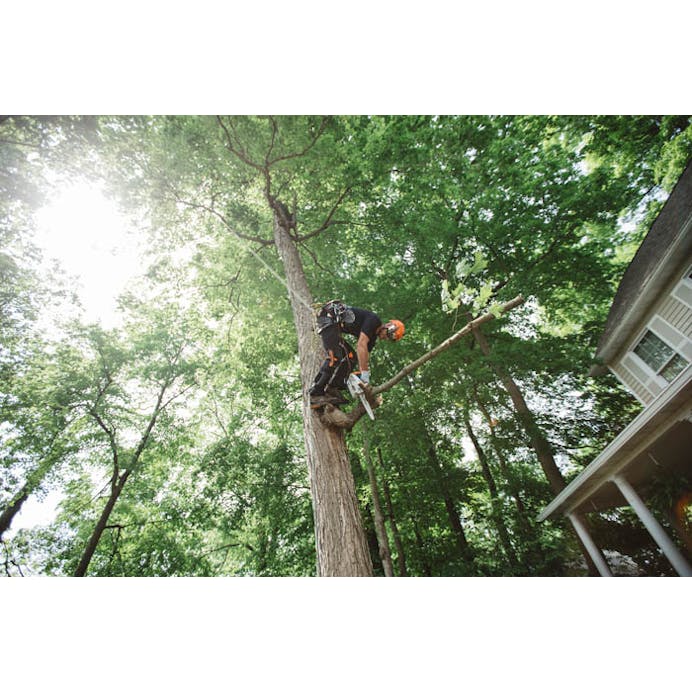 ab875d13-73fb-4b31-5382-08dd6e0daea9