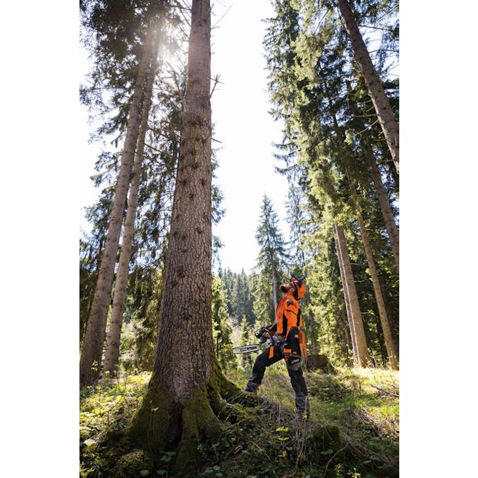 477cb320-dba5-41bf-929c-08dd96d0d69d