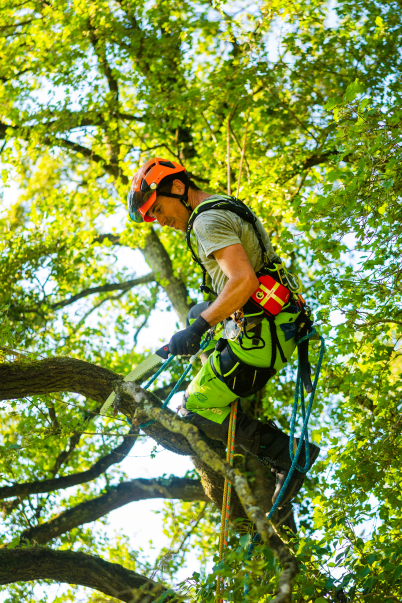 Courant Koala Harness V1.3 SIZE L/XL