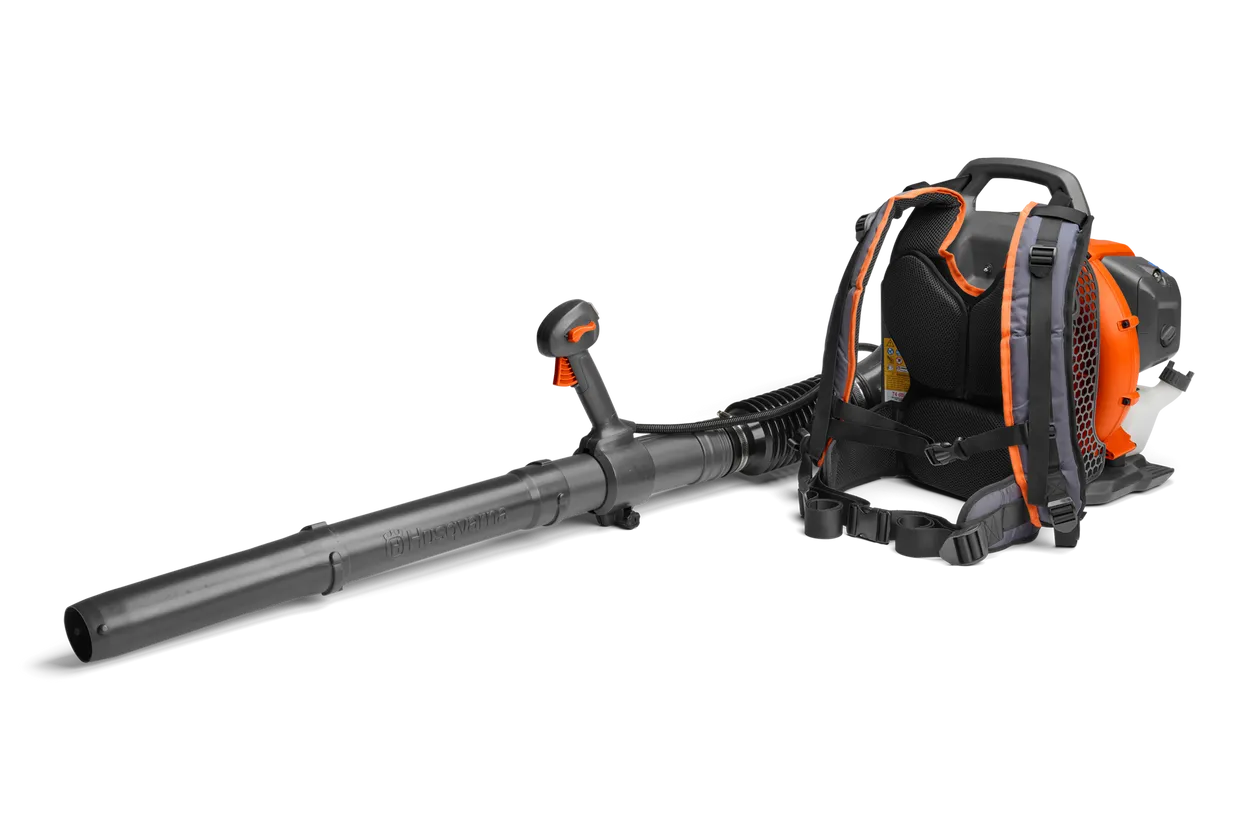 56e7ee8f-d657-4287-ec00-08dc741f0c68