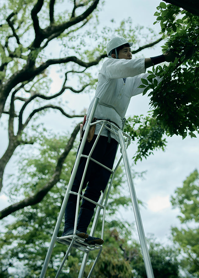 Hasegawa 10 Ft. Aluminum Tripod, Orchard Ladder w/ Platform (GSU-10AS)