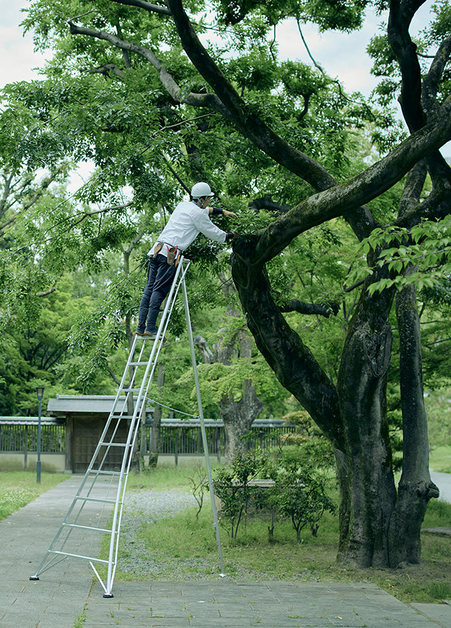 Hasegawa 10 Ft. Tripod, Orchard Ladder (GSC-10AS)