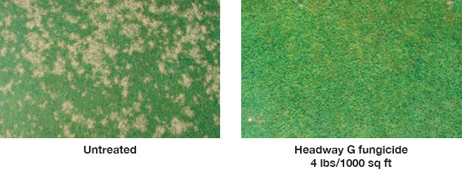 Headway G Fungicide 30LB