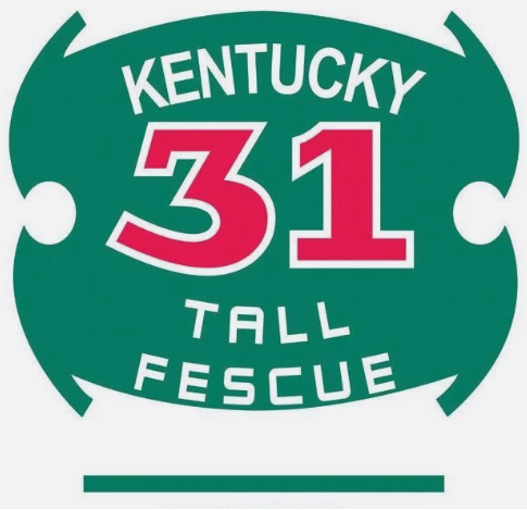 Kentucky 31 Tall Fescue Grass Seed 50Lb Bag