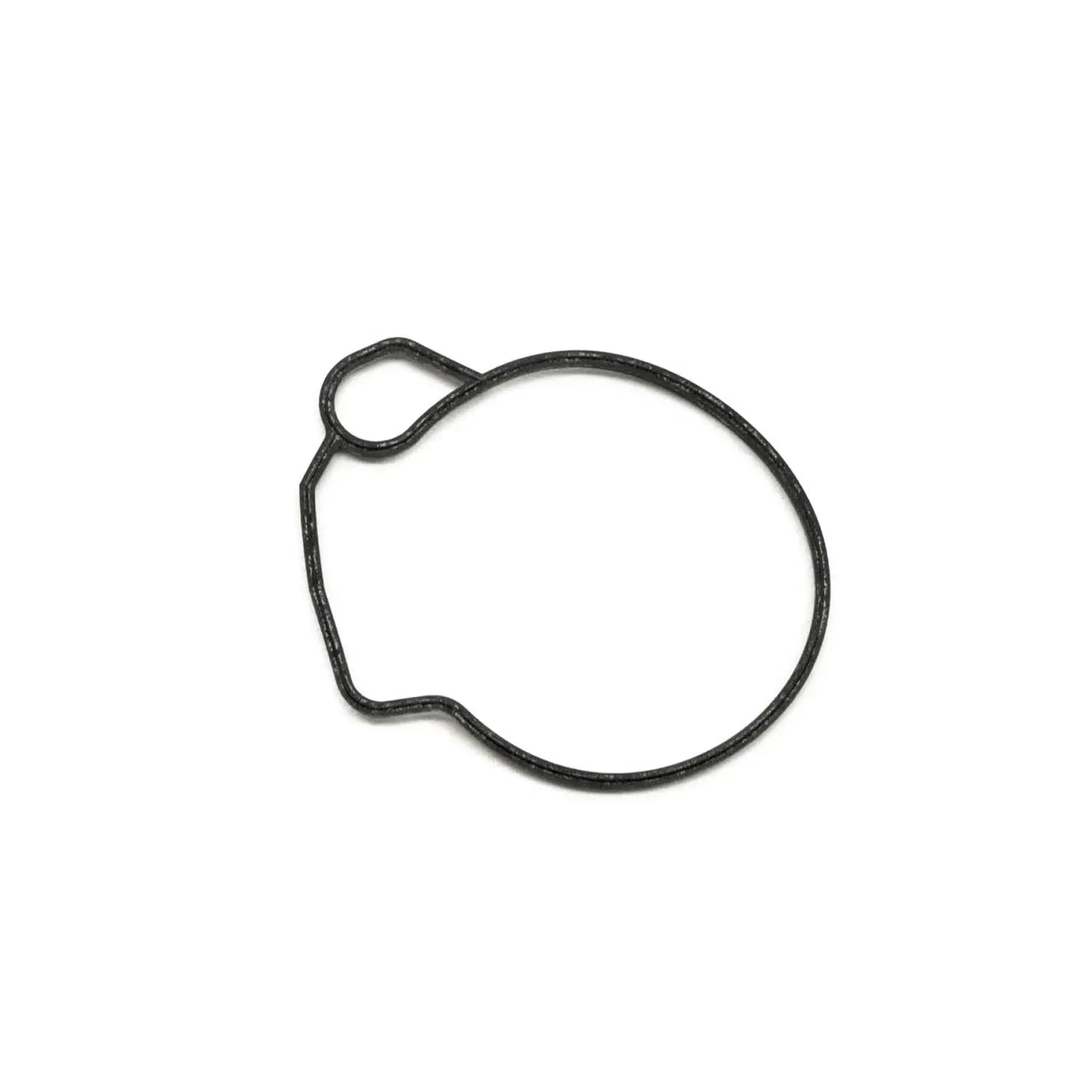 0450095 FLOAT CHAMBER SEAL