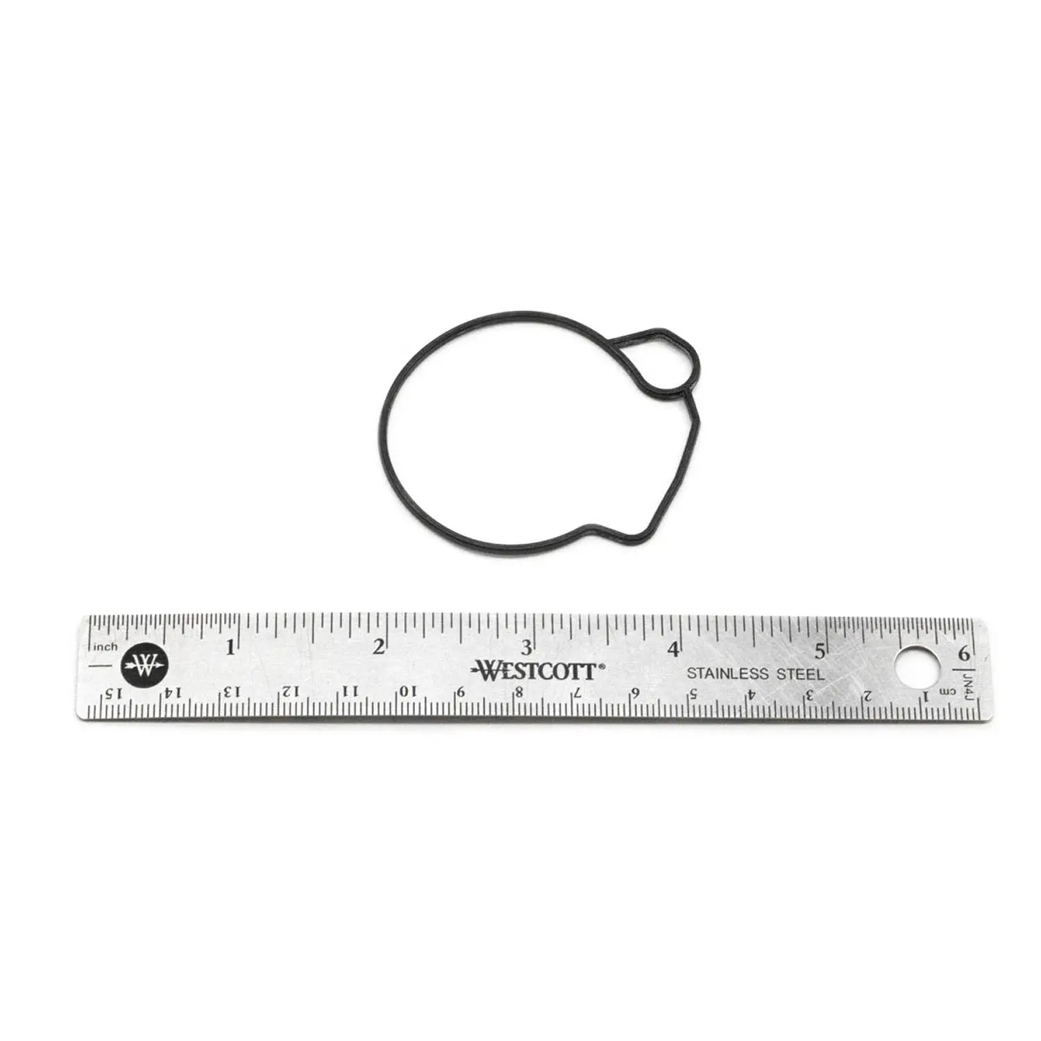 0450095 FLOAT CHAMBER SEAL