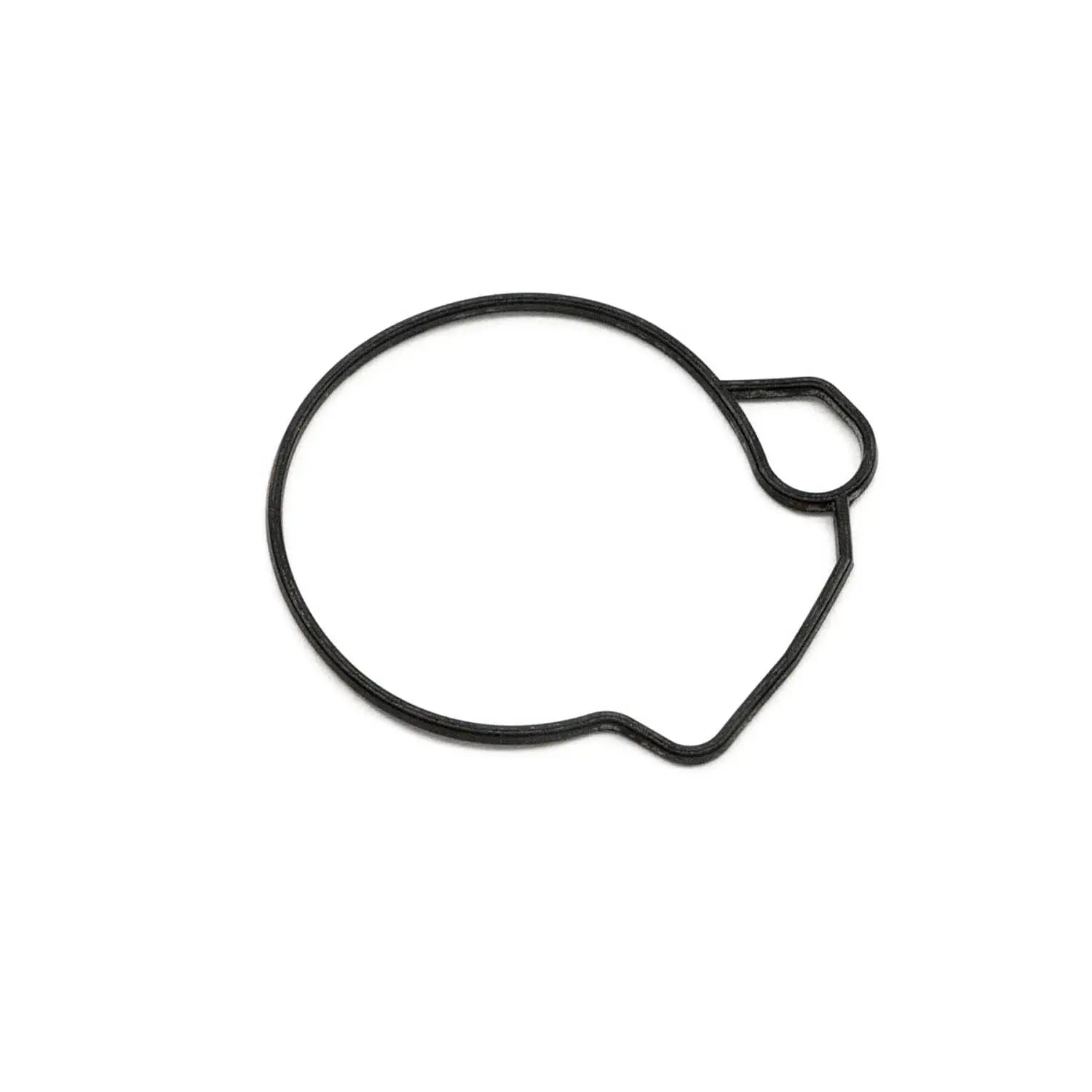 0450095 FLOAT CHAMBER SEAL