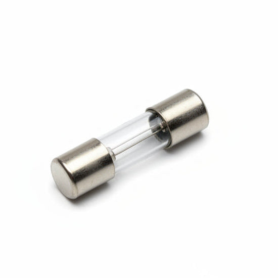 4060161 POLARIS OEM FUSE